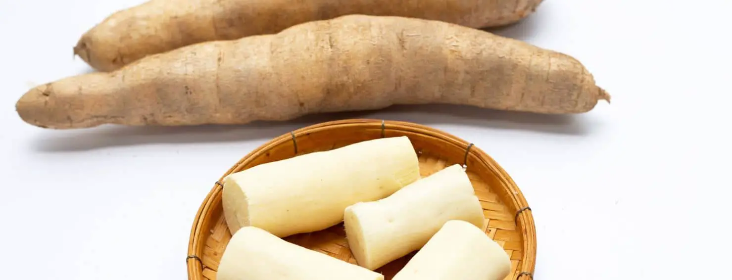 Hoe tapioca gebruikt wordt als vleesvervanger in gerechten